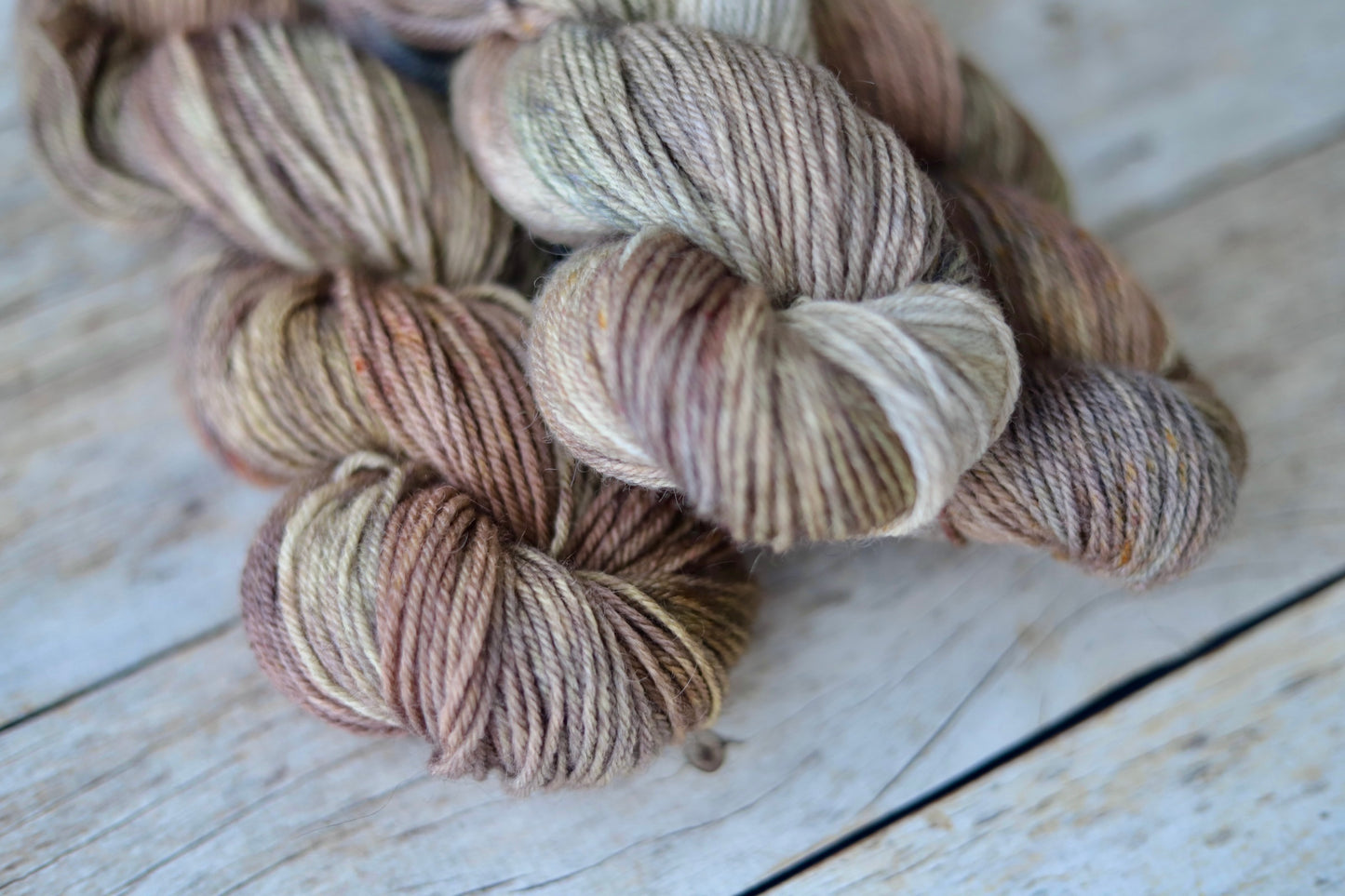 Hen's & Chicks (Fall Exclusive) Hand Dyed Yarn