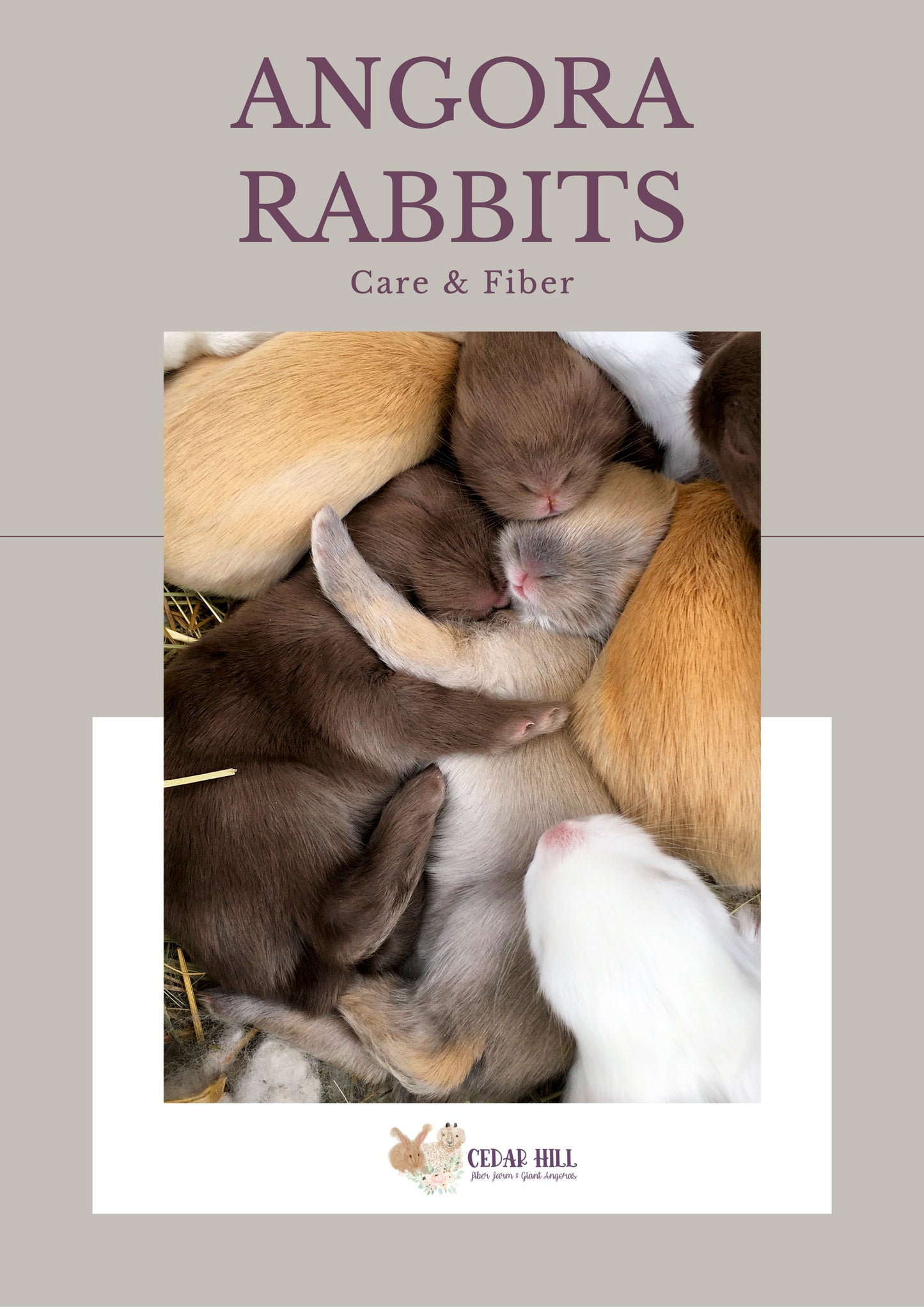 Angora Rabbit Care Booklet – A Practical Guide for Fiber Rabbit Owners