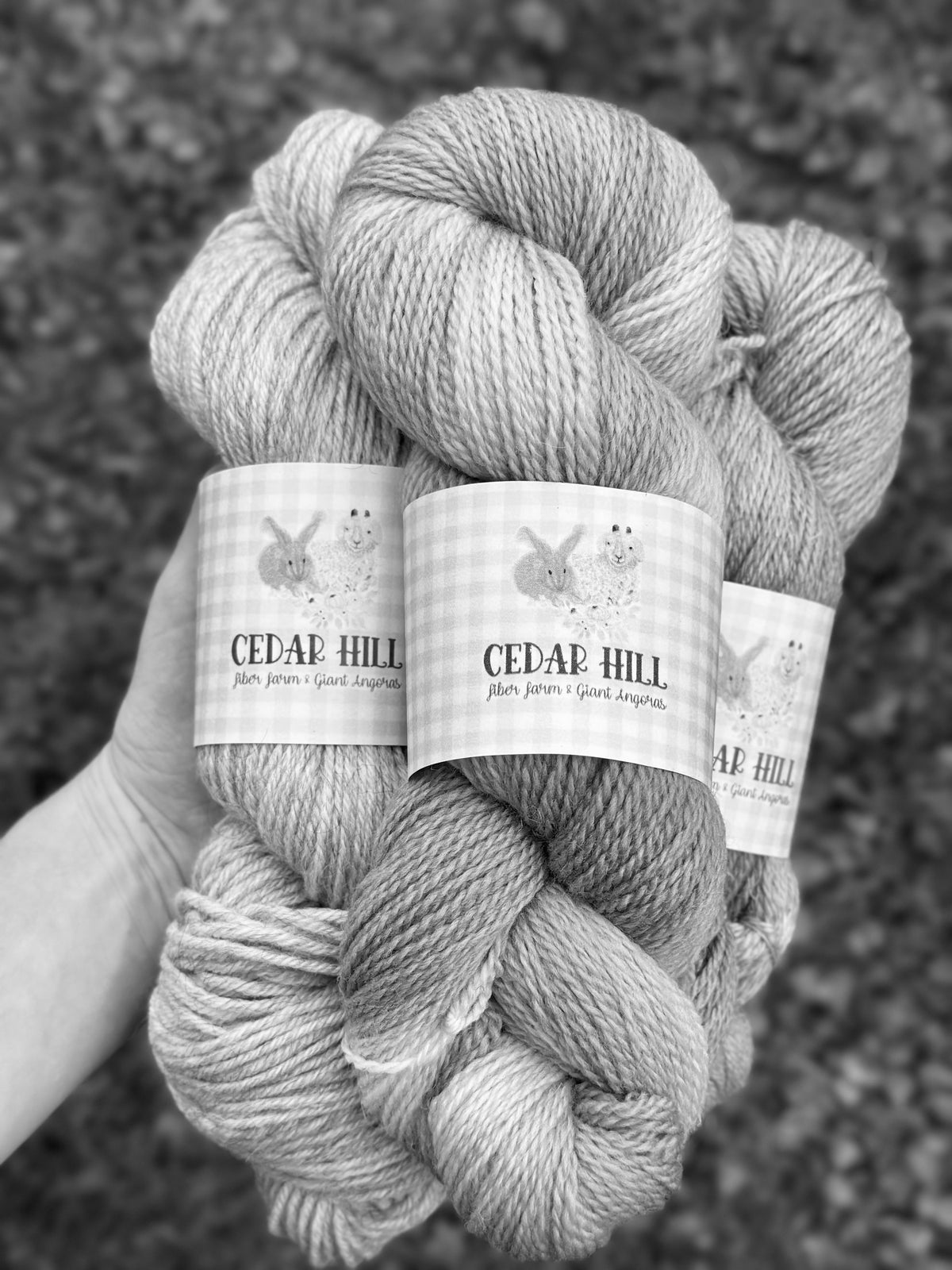 Mystery Yarn