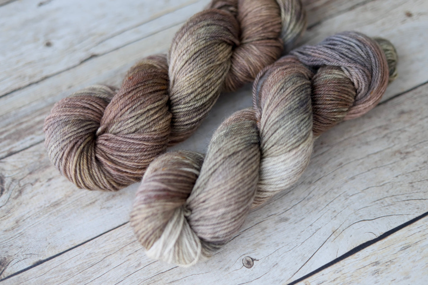 Hen's & Chicks (Fall Exclusive) Hand Dyed Yarn