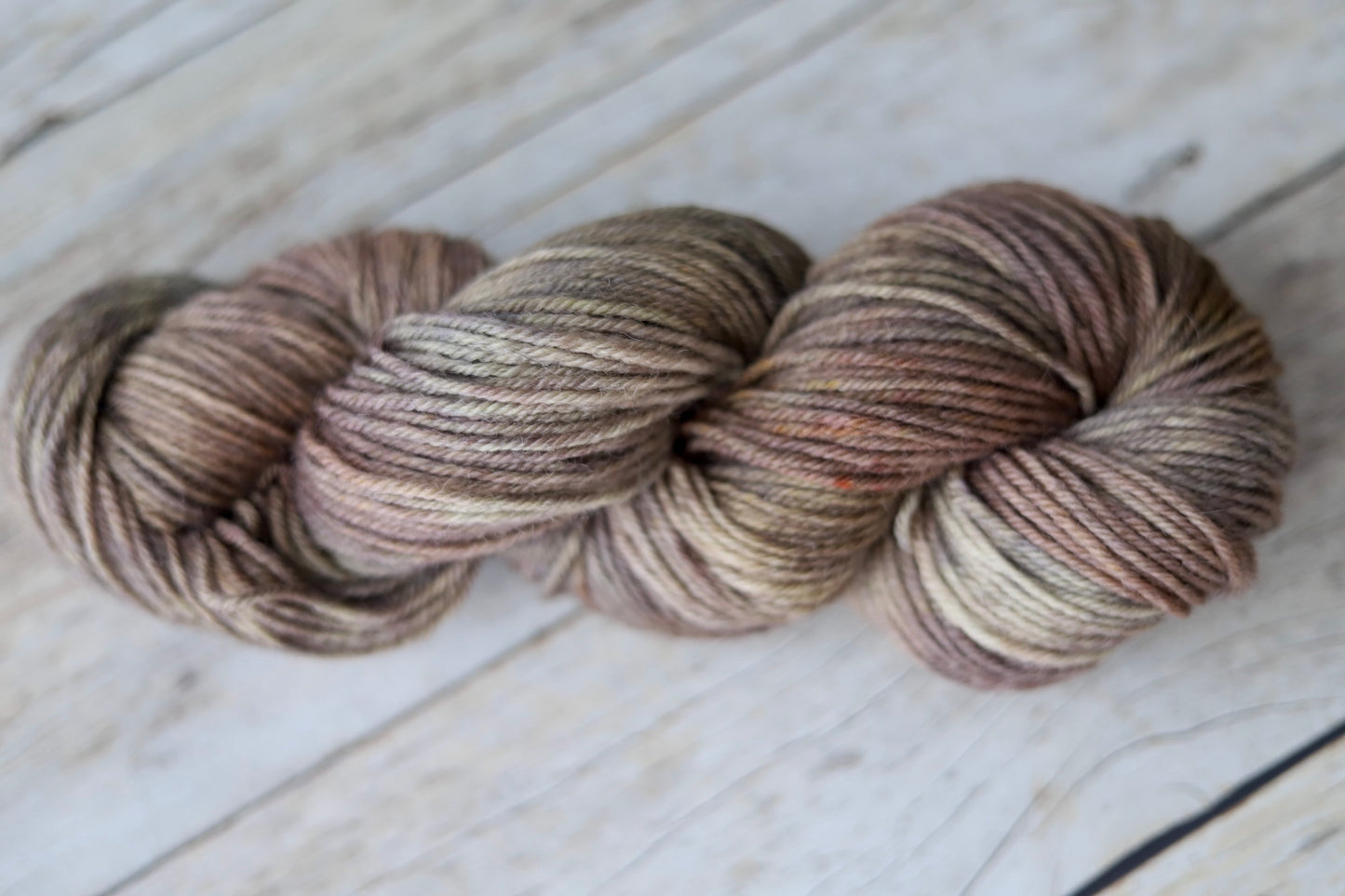 Hen's & Chicks (Fall Exclusive) Hand Dyed Yarn