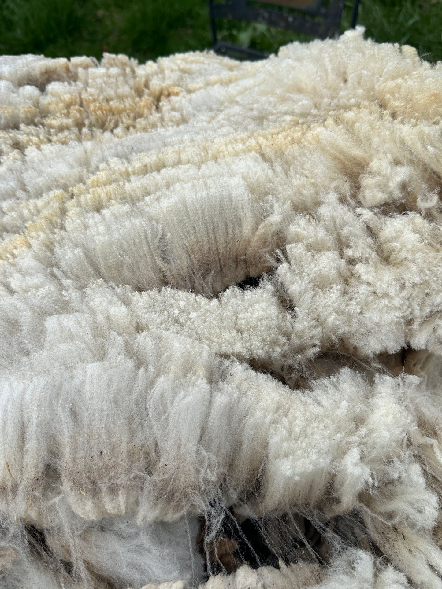 CVM Raw Fleece (Cora)