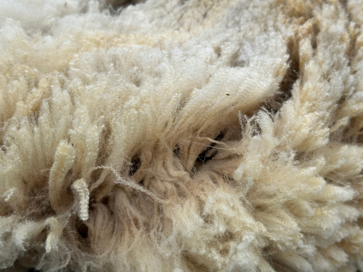 CVM Raw Fleece (Cora)