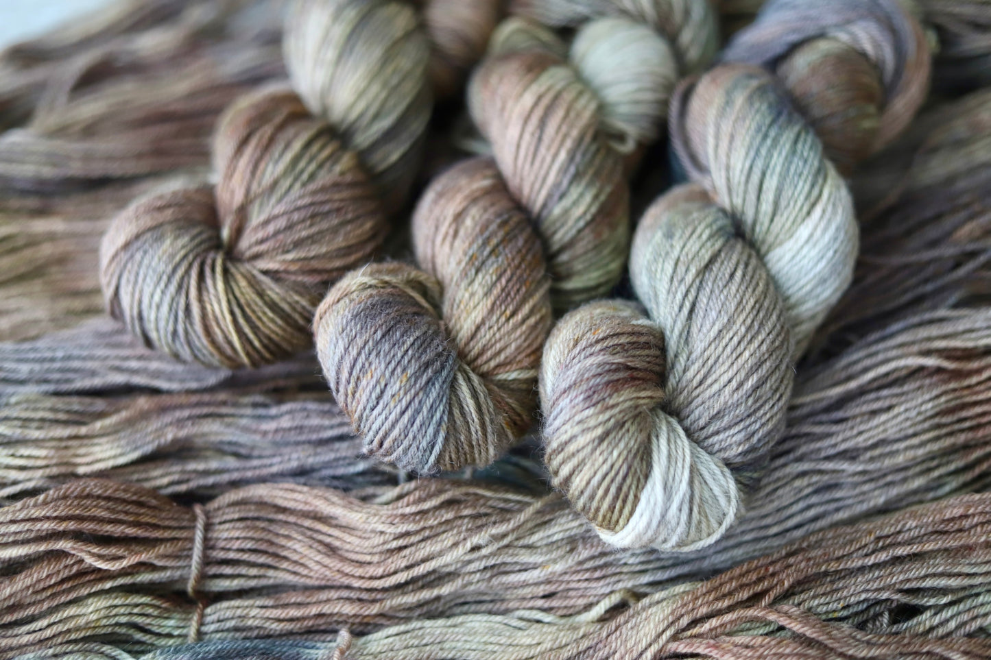 Hen's & Chicks (Fall Exclusive) Hand Dyed Yarn