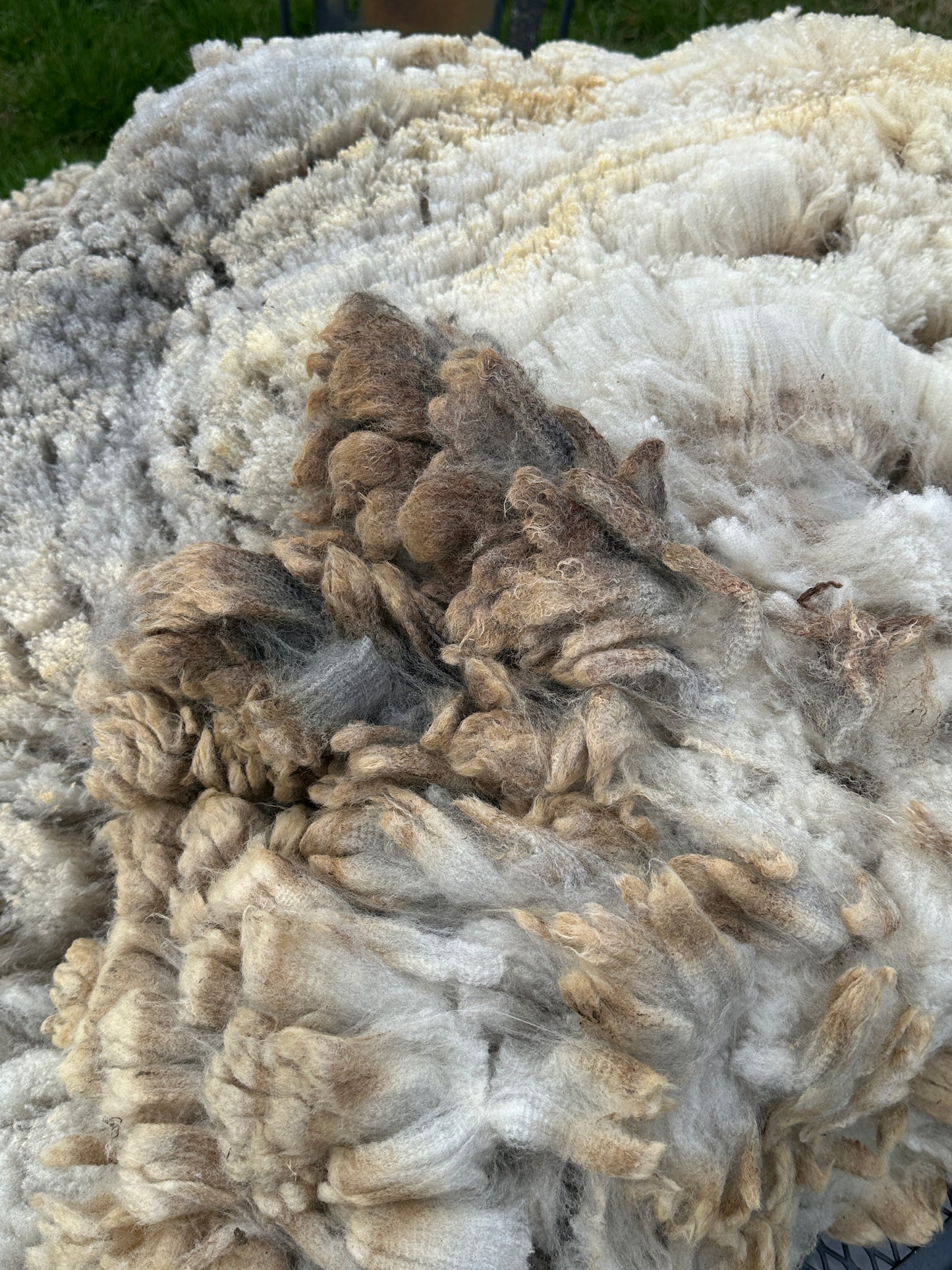 CVM Raw Fleece (Cora)
