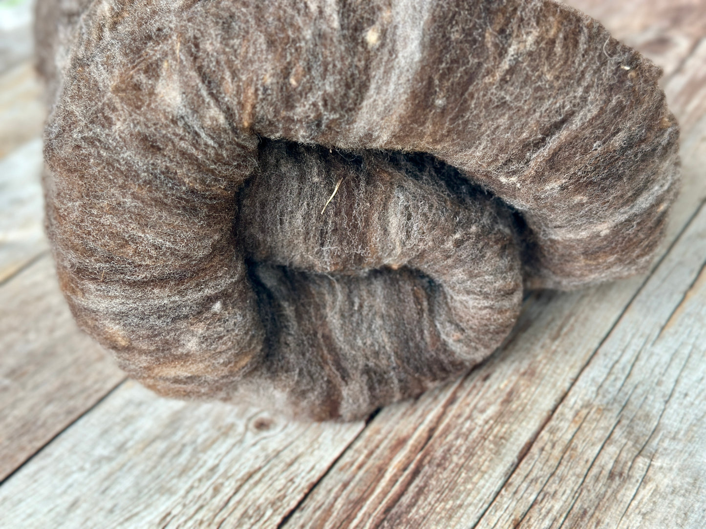 Dark Gray Romeldale CVM Wool Batt