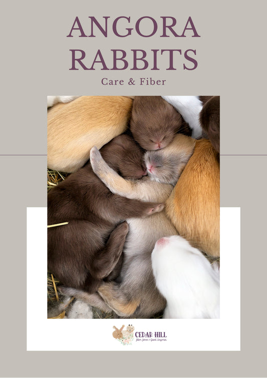 Products – Cedar Hill Fiber Farm