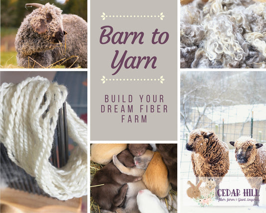 Barn to Yarn: Complete Fiber Farming Online Course