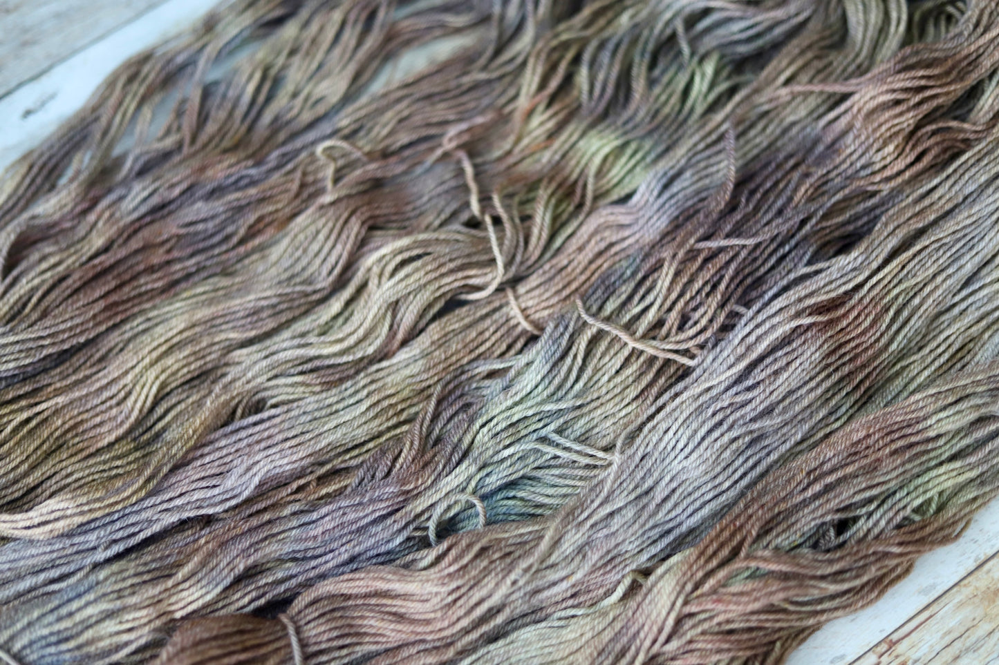 Hen's & Chicks (Fall Exclusive) Hand Dyed Yarn