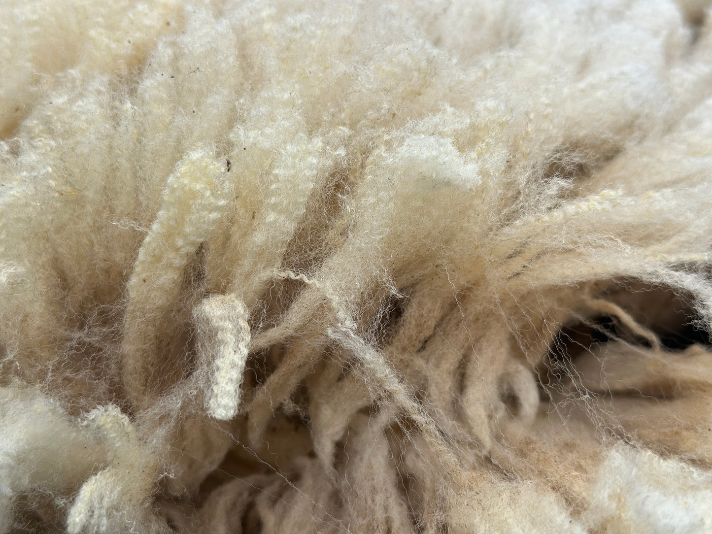 CVM Raw Fleece (Cora)