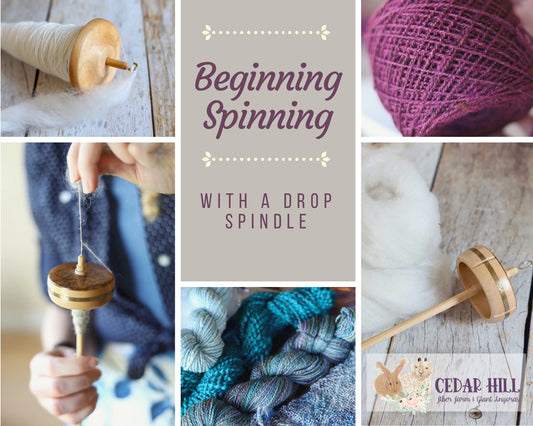 Learn to Spin Yarn on a Drop Spindle LIVE August 16th