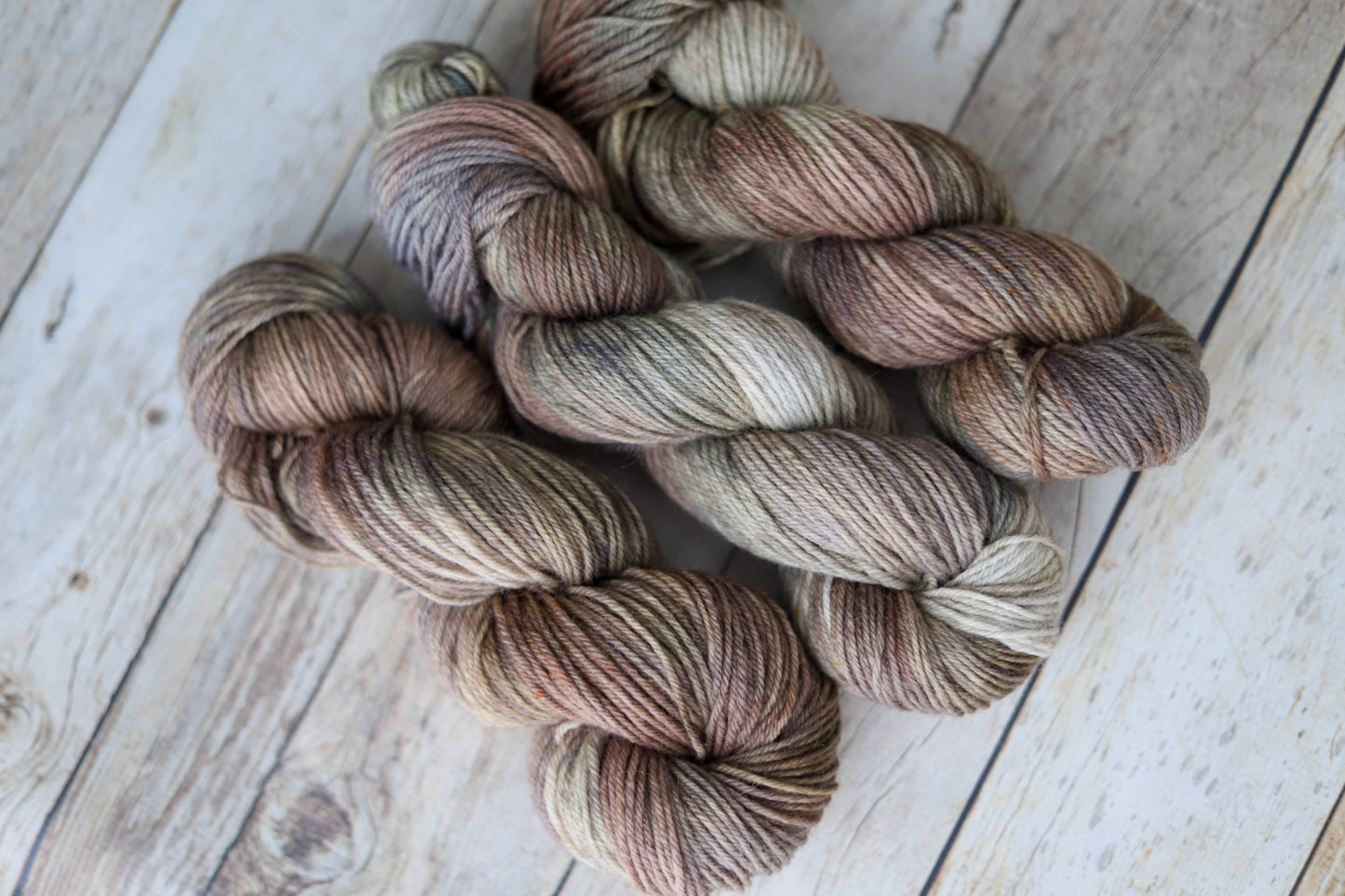 Hen's & Chicks (Fall Exclusive) Hand Dyed Yarn