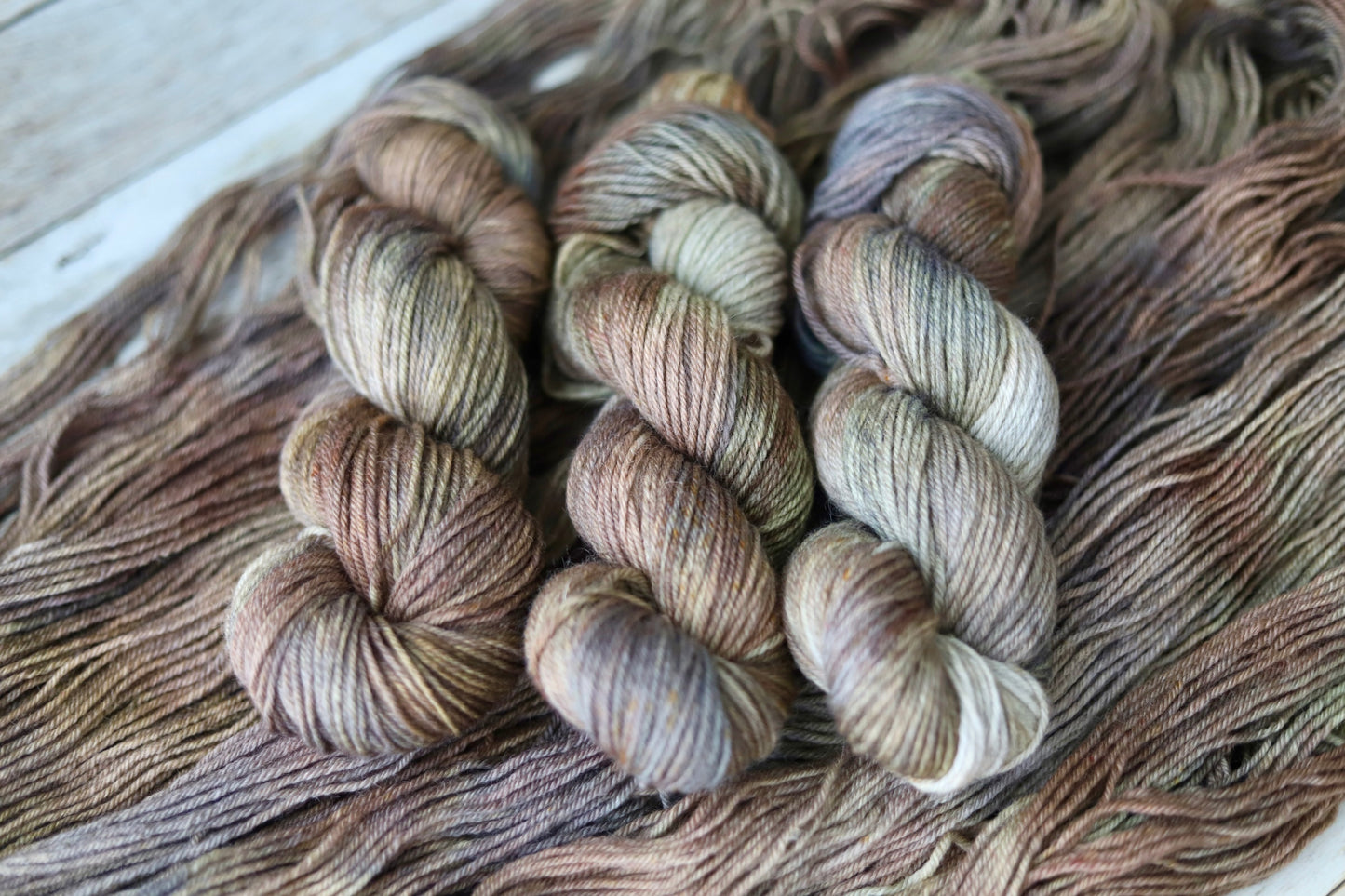 Hen's & Chicks (Fall Exclusive) Hand Dyed Yarn