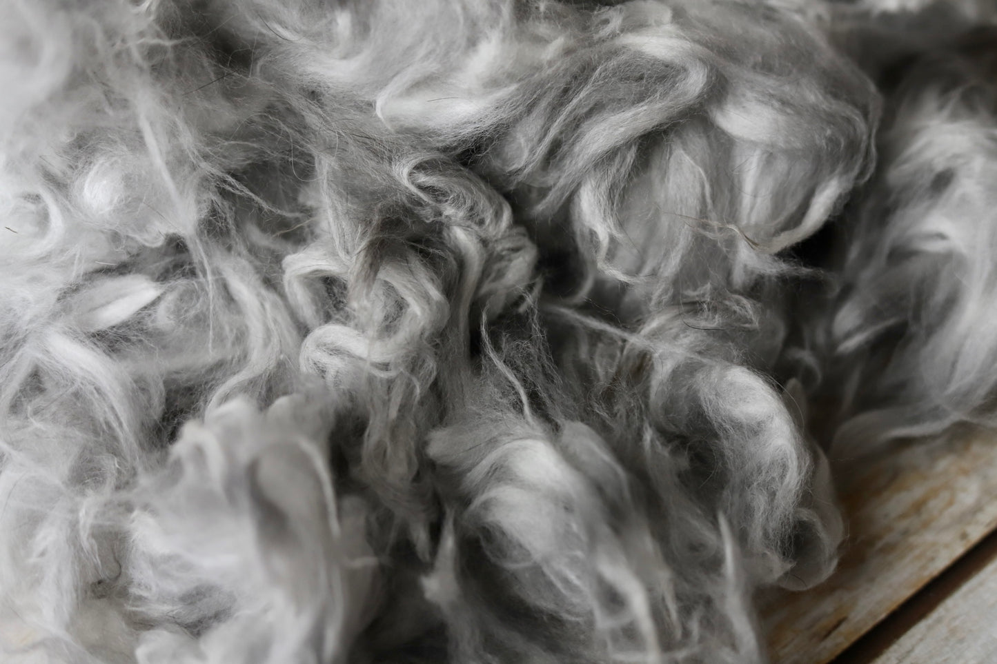 Gray Angora Fiber