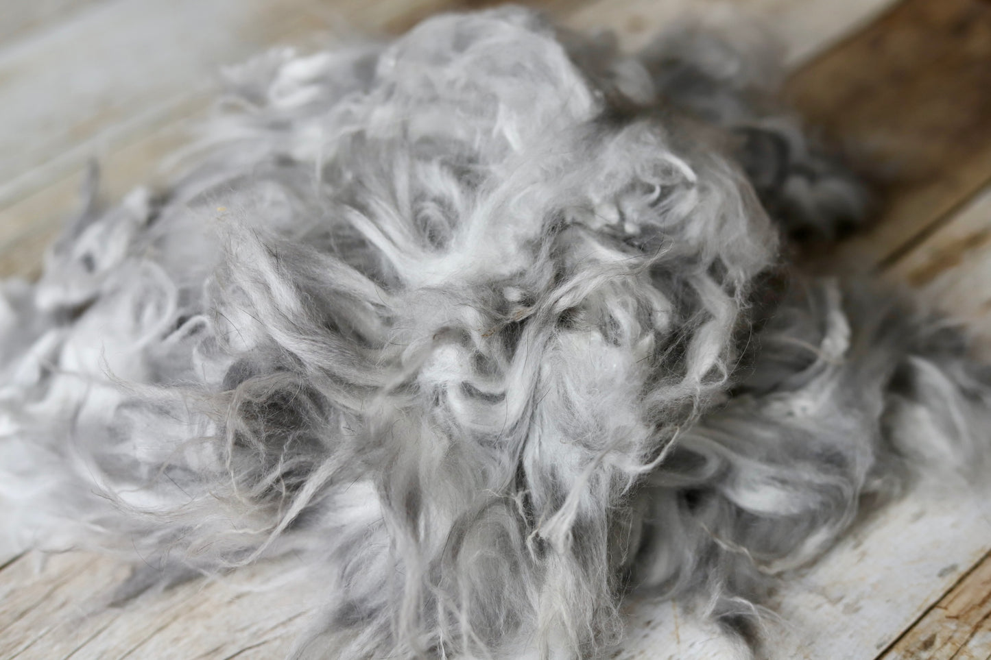 Gray Angora Fiber