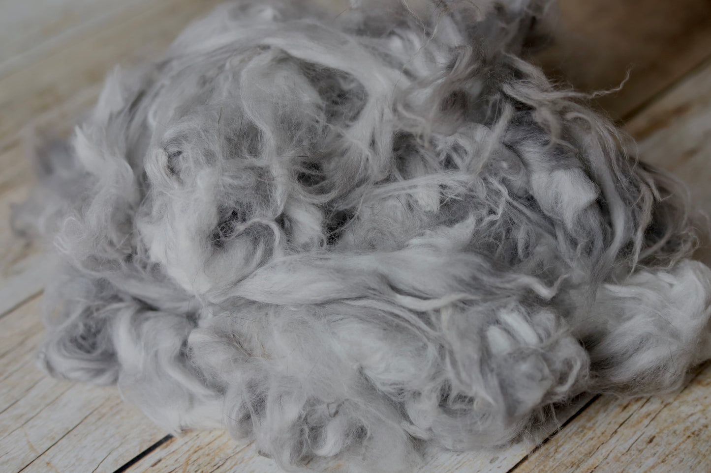 Gray Angora Fiber