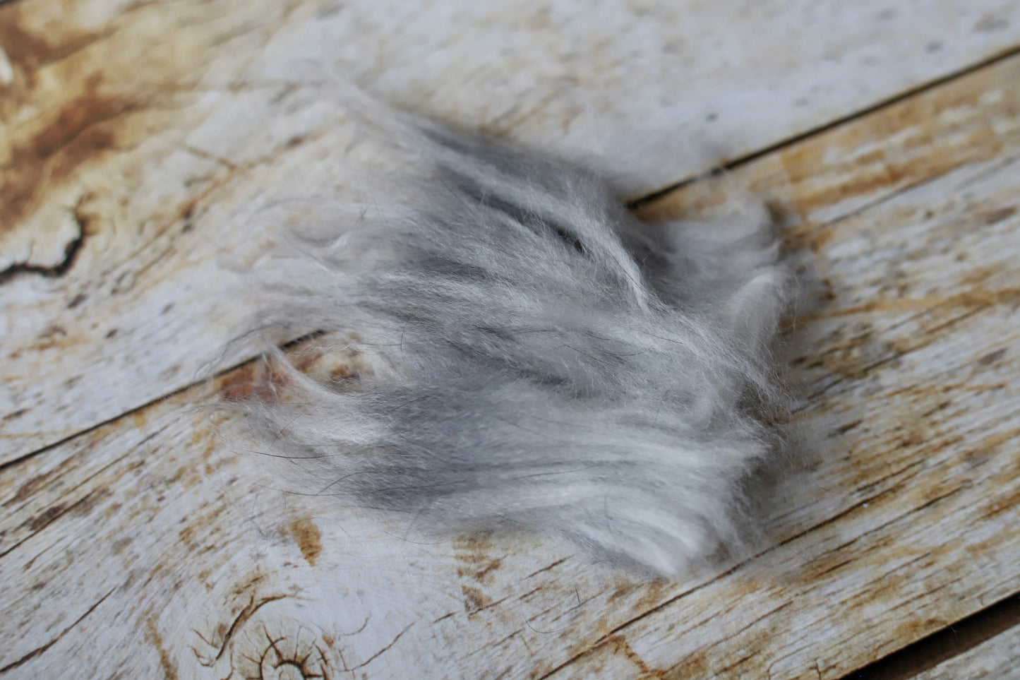 Gray Angora Fiber