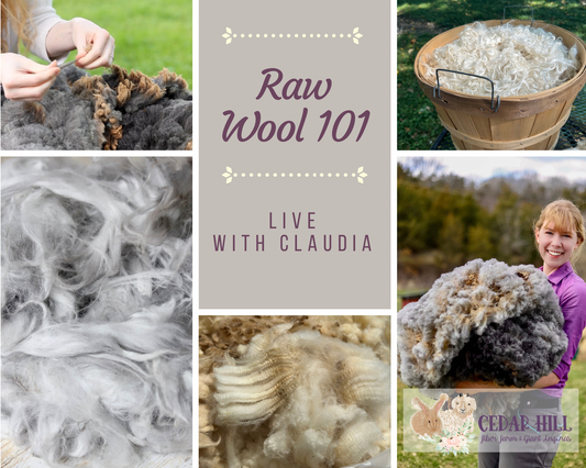 Raw Wool 101 (LIVE Session) July 25th