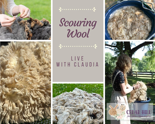 Scour Wool with Claudia (LIVE Session)